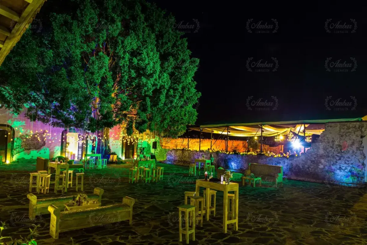 Patio con árbol iluminado y salón al fondo